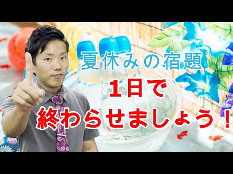 【夏休みの宿題】夏休みの宿題を1日で終わらせる方法（ワーク、読書感想文、理科の自由研究）