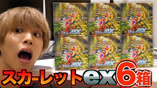 【ポケカ】スカーレットexを6箱開封！コライドン来い！！！