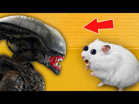 Hamster vs Alien 🐹 Hamster Escapes from a Spaceship