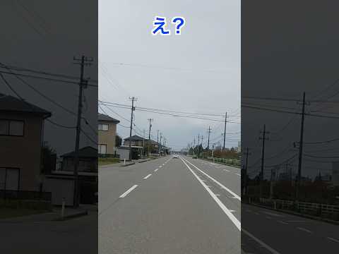 逆走者に遭遇したらどうしていいかわからなくなる