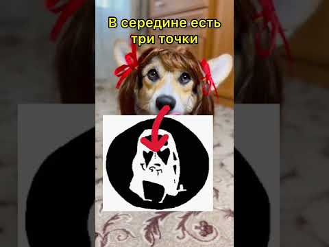 СМЕШНЫЕ ЖИВОТНЫЕ | ТЫ НЕ ПОВЕРИШЬ СВОИМ ГЛАЗАМ, КОГДА ЭТО УВИДИШЬ