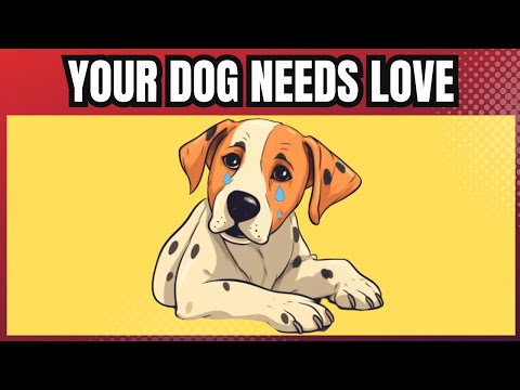 10 Ways To Tell Your Dog You Love Them | Step By Step How To Show Your Dog You Love Them