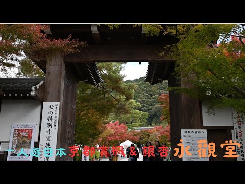 京都賞楓熱門景點～永觀堂～, 就在南禪寺旁邊, 記得打開CC字幕喔！