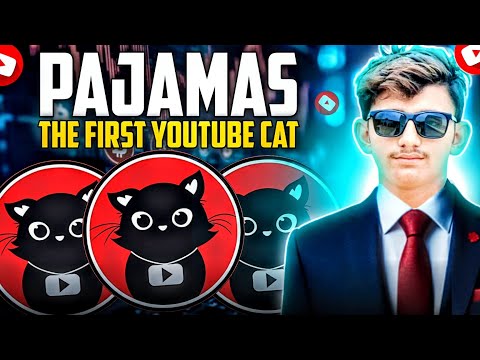 🚀 Another Review 🔥 The First Youtube Cat $PAJAMAS || BEST PLANS FOR DAILY EARNING CAT JOIN NOW🔥