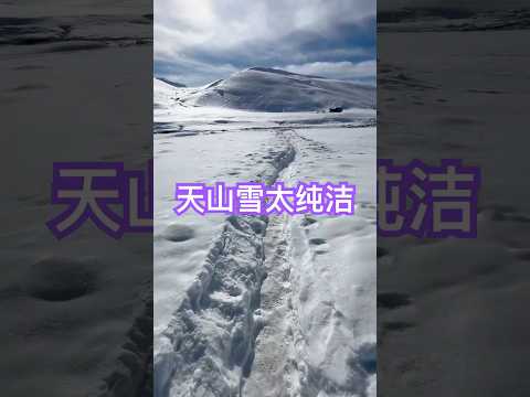 天山雪太纯洁了