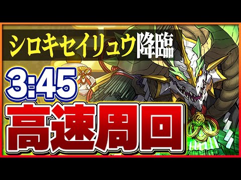 【シロキセイリュウ降臨】正月ノルディスループで攻略！シロキ確保用編成【パズドラ】