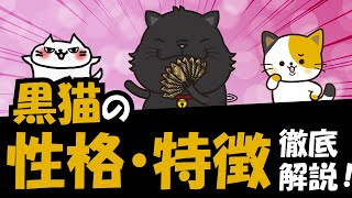 黒猫の特徴・性格から歴史・言い伝えまで徹底解説！