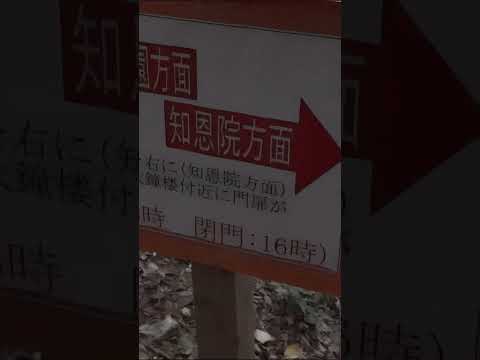 京都・将軍塚から円山公園まで徒歩で降りる(2011年・手振れ大に付き注意) #shorts #kyoto #Japan