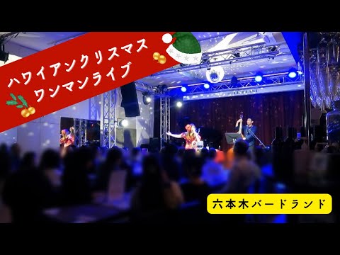 【Ka nohona pili kai〜涙そうそう】六本木バードランド ワンマンライブ③ (Cover) Kealii Reichel 夏川りみ ハワイアンバンド