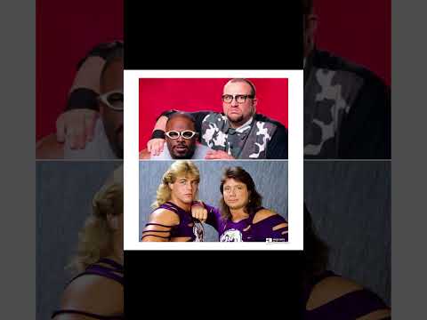 Dudley Boyz or The Rockers? #shorts #shawnmichaels #martyjannetty #dudley #team3d #youtubeshort #fy