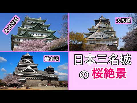 Cherry blossoms (Sakura) at the "Three Great Castles of Japan" / Nagoya, Osaka, and Kumamoto Castle