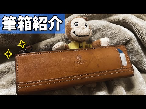 一般大学生の筆箱紹介/What's in my pencil case?【夏休み】