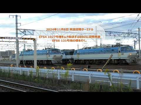 EF64 1027号機をムド輸送するEF66 119号機牽引の8865ﾚ貨物列車 吹田貨物ターミナルに到着！（R6.11.6）