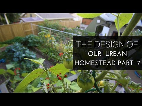 Our Urban Homestead, Part 7:  Soil