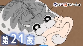 アニメ『夜は猫といっしょ』第21夜「ネコが噛んできた」