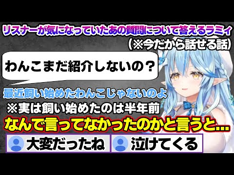 色々な理由が重なってなかなか言えなかった飼い犬について話すラミィちゃん【雪花ラミィ/ホロライブ/切り抜き/らみらいぶ/雪民】