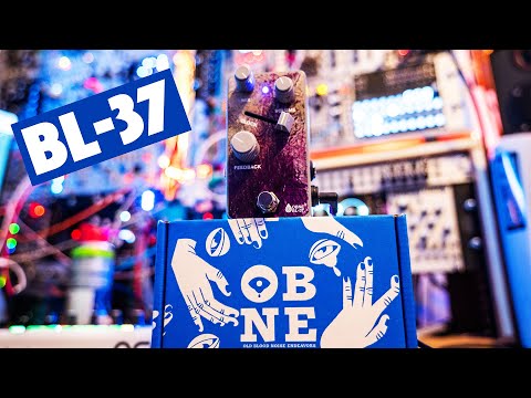 A stretchy reverb from Old Blood Noise Endeavors - BL-37