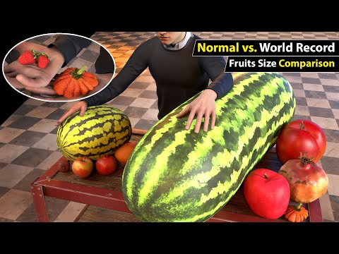 Unbelievable Fruit Size Comparison: Normal vs. World Record