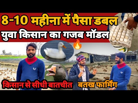 बतख पालन कैसे करे | duck farming business plan | batak palan | duck farming in india