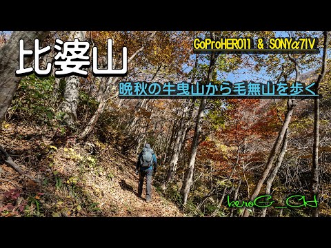 GoProHERO11&α7Ⅳ【比婆山】晩秋の牛曳山から毛無山を歩く