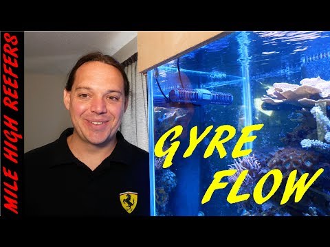 Glamorca GP03 Gyre Review with Jake Adams of Reef Builders PT2