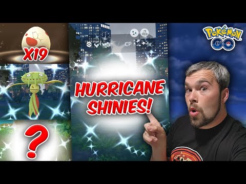 Catching Shinies in a Hurricane! We got VERY Lucky! (Pokémon GO)