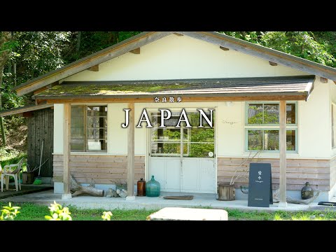 【奈良】 緑が美しい、山の中にある静かな喫茶店｜奈良旅行・奈良観光vlog