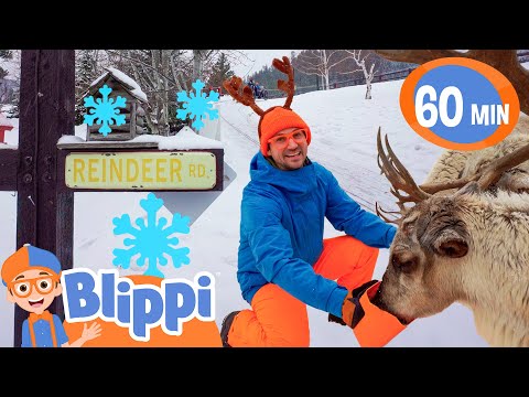 Blippi's Reindeer Adventure!🎄🦌✨ | Festive Educational Videos for Kids