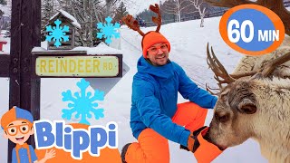 Blippi's Reindeer Adventure!🎄🦌✨ | Festive Educational Videos for Kids