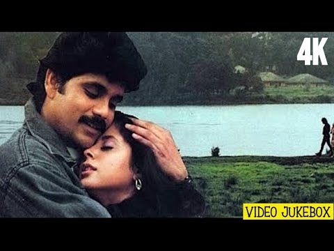 Drohi Video Songs Jukebox 4k | Nagarjun - Urmila Matondkar | Asha Bhosle Hit Songs | R.D.Barman