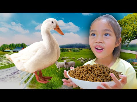 ให้อาหาร 🐑 เป็ดอาบน้ําในคลอง 🦆 | บริ้งค์ไบรท์