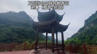 万州恒合 三峡古枫香园避暑（露营+民宿） #三峡古枫香园