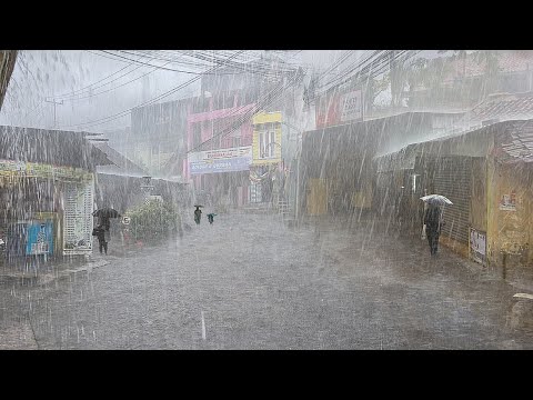 Super heavy rain and strong winds in my village, I fell asleep instantly with the sound of rain