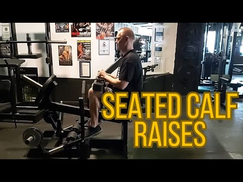 Seated Calf Raises /Gladiator Training Program