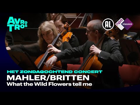 Mahler/Britten: What the Wild Flowers tell me - Radio Filharmonisch Orkest & David Robertson - HD