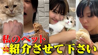 【初公開】男女グループメンバーの飼っているペット、紹介させて下さい！！