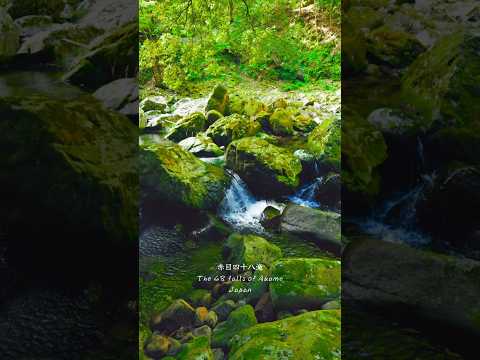 The 48 falls of Akame, birthplace of the ninja.    #japan #日本 #4k #sony #zve1 #4k120fps #三重県 #三重旅行