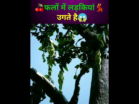 🍒फलों में लड़कियां💃उगते है😱 #shorts #ytshorts #facts