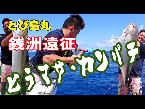 【銭洲】とび島丸 泳がせ遠征 ヒラマサ(平政)・カンパチ(間八)釣り