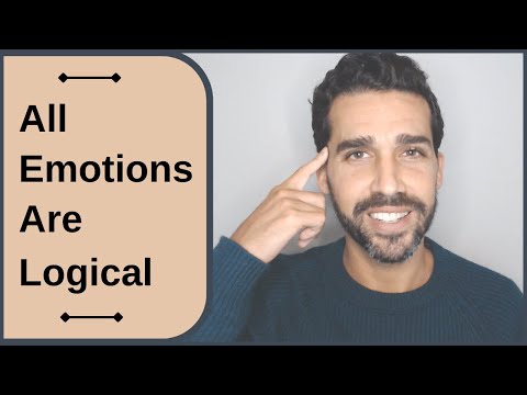 Why All Your Emotions Are Completely Logical