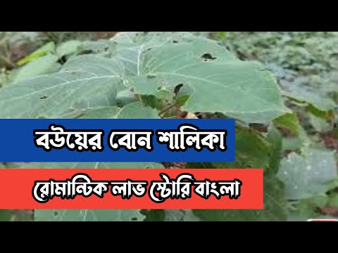 বউয়ের বোন শালিকা || রোমান্টিক লাভ স্টোরি বাংলা ||Anika Dairy