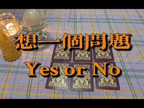 （快占）Yes or No～｜小滋润扑克牌