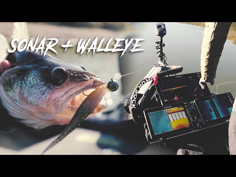 Sonar Tips and Walleye Plastics