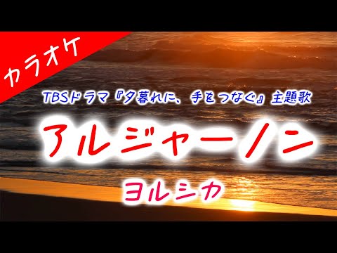 【カラオケ】アルジャーノン - ヨルシカ  (TBSドラマ「夕暮れに、手をつなぐ」主題歌)