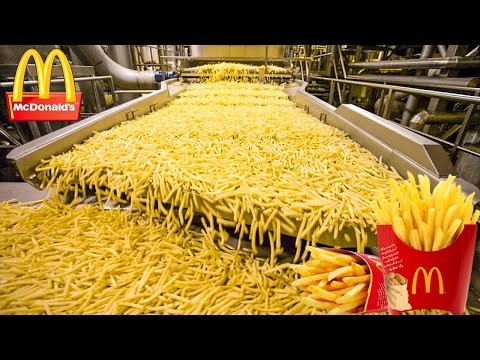 How Are McDonald's French Fries Made - Food Factory