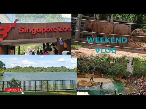 ఆదివారం మేము అందరం కలిసి Singapore Zoo కి వెళ్ళాము#singapore #subscribe #youtube #video