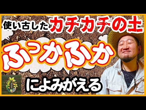 【知らないと損します】３ステップで簡単！プランターの古い土は捨てずに再利用する【土のリサイクル】【家庭菜園】【ガーデニング】