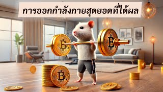 Hamster Feed: ผู้เชี่ยวชาญศิลปะการตั้งเป้าหมายและบรรลุเป้าหมาย