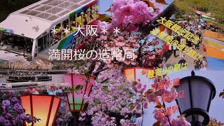 造幣局の通り抜け