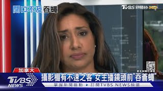 攝影棚響「蒼蠅空襲警報」 加拿大主播閃避不及一口吞｜TVBS新聞